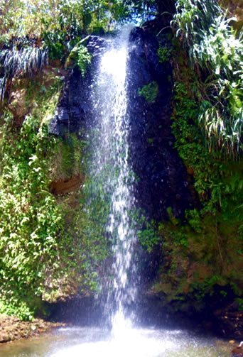 waterfall_tour_st-lucia