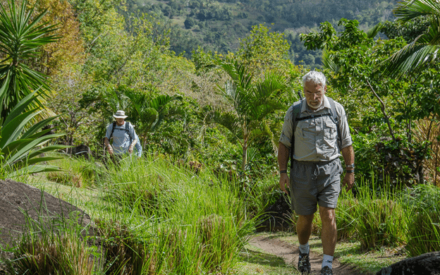 Hiking