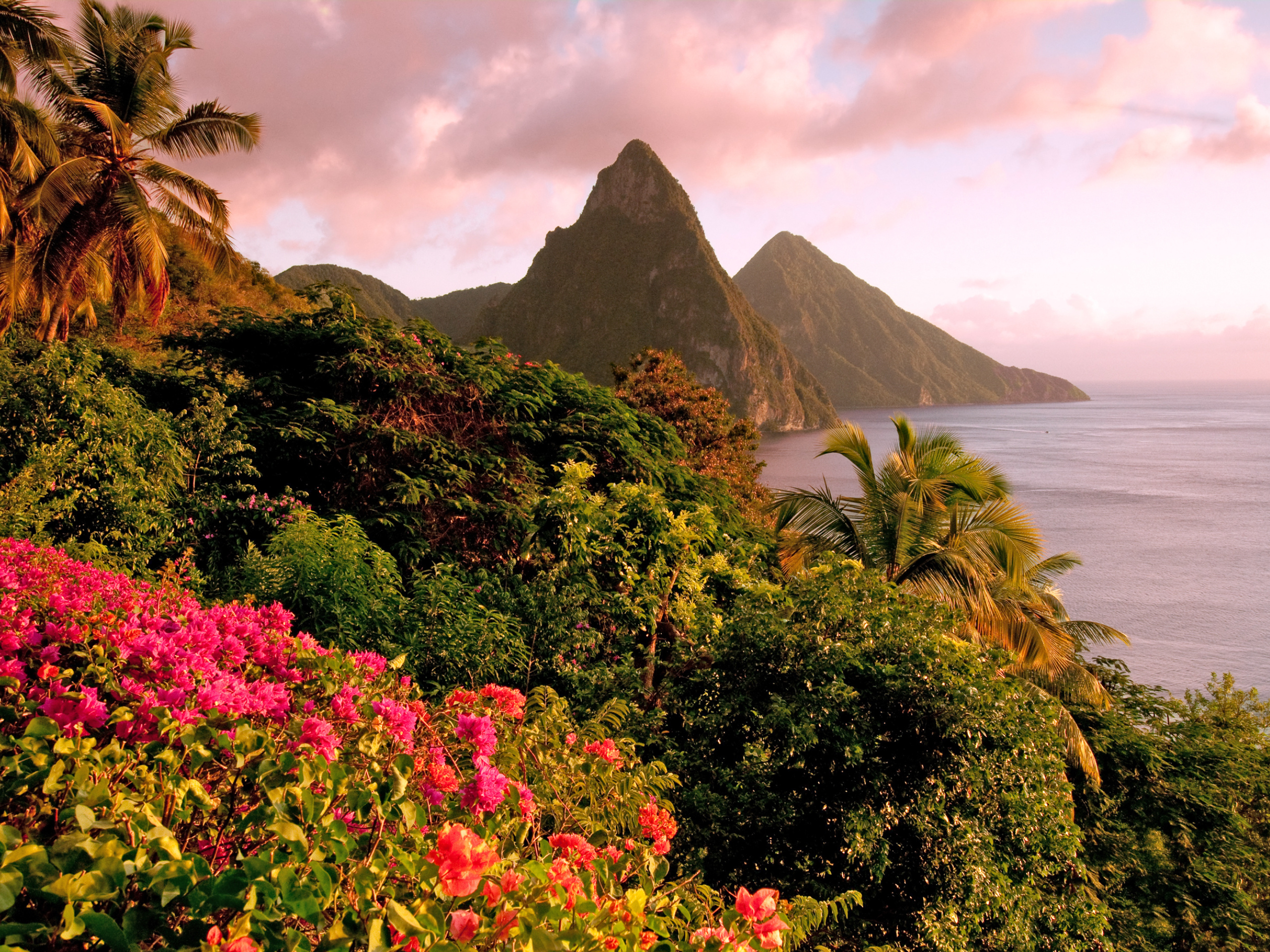 Discover St. Lucia in August